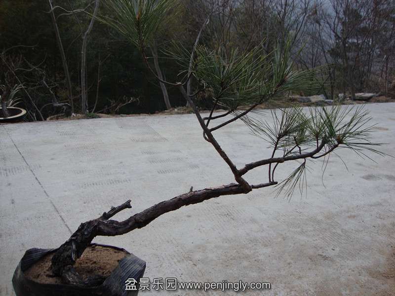 DSC01964_.jpg