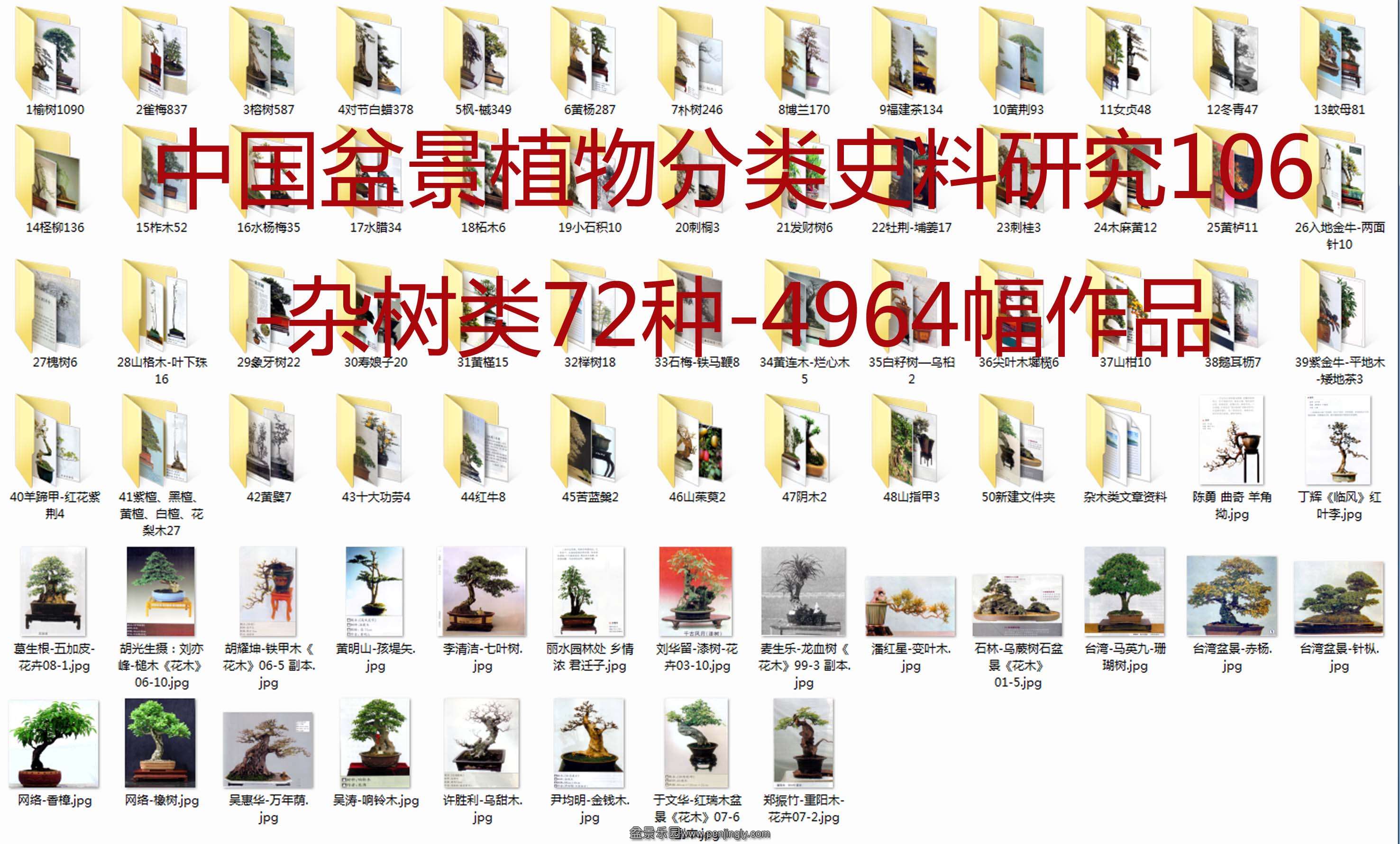 中国盆景植物分类史料研究106杂树类.jpg