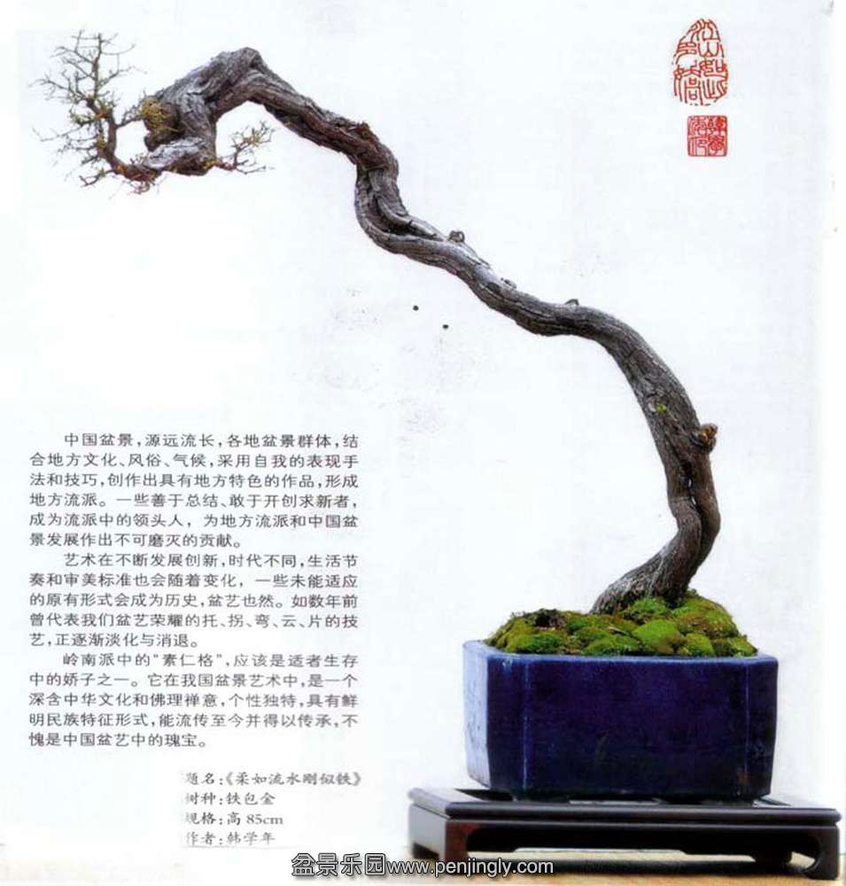 韩学年-铁包金.jpg