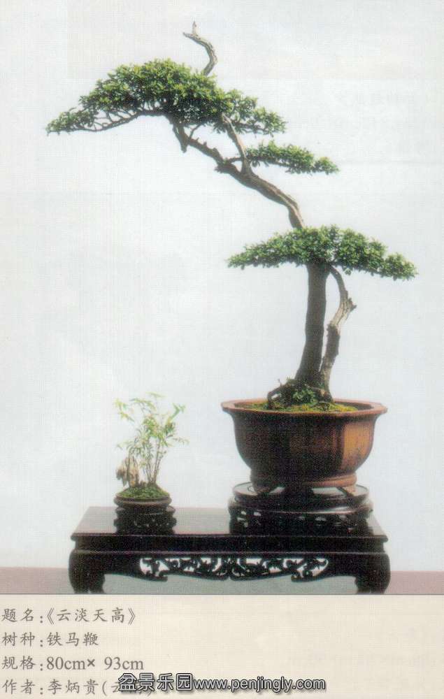 李炳贵-铁马鞭.jpg
