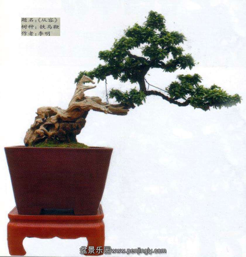 李明-铁马鞭.jpg