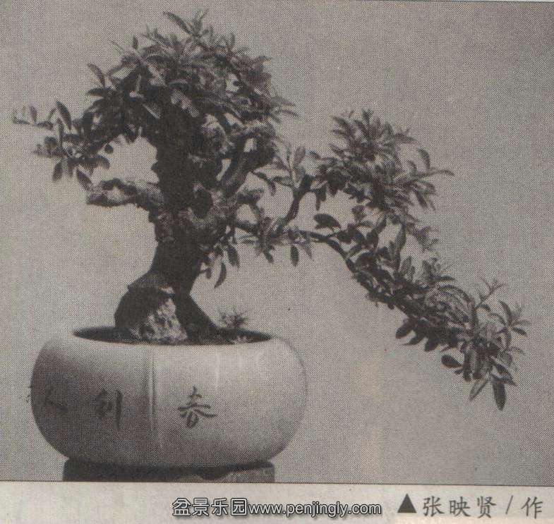 张映贤-石梅-铁马鞭《花木》01-8 副本 2.jpg