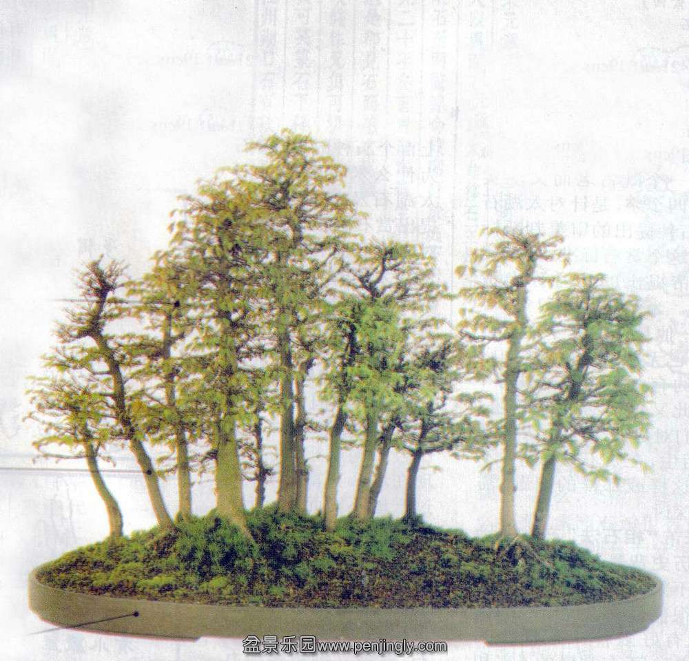 ʯ-ľҡ02-8.jpg