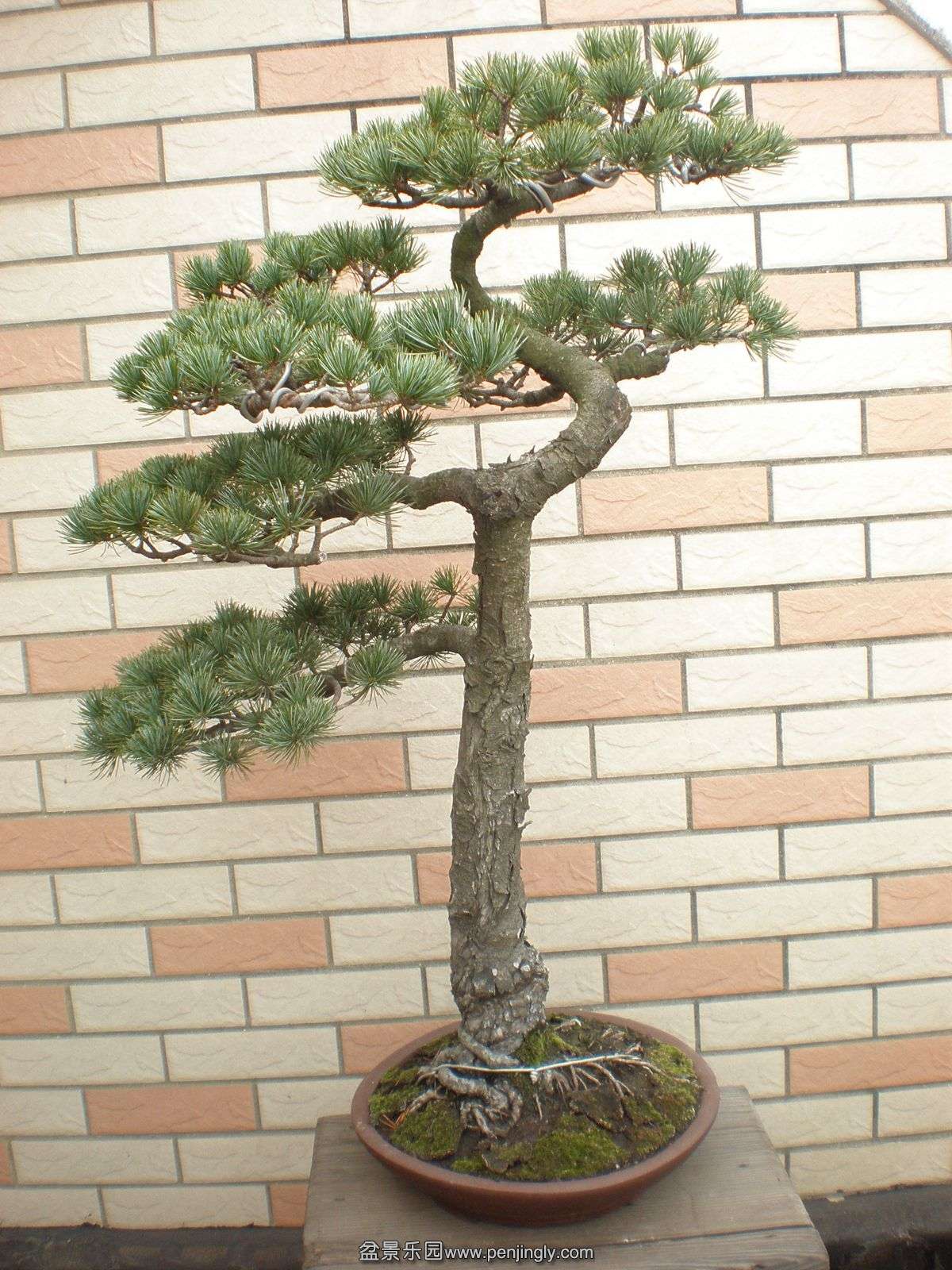 P1010043_.jpg
