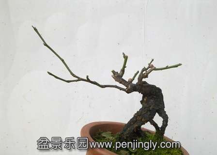 201401121919.jpg
