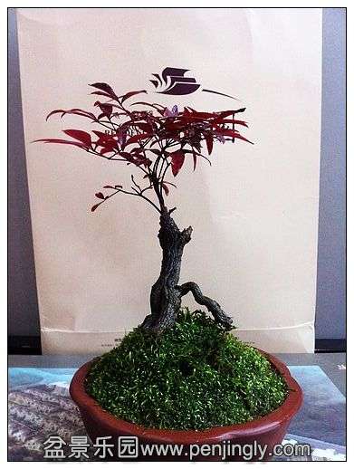nEO_IMG_照片 003.jpg