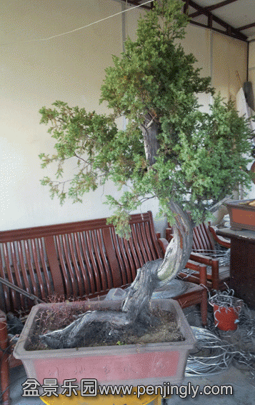 20131129_142755.gif