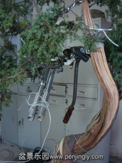 DSC07740.gif