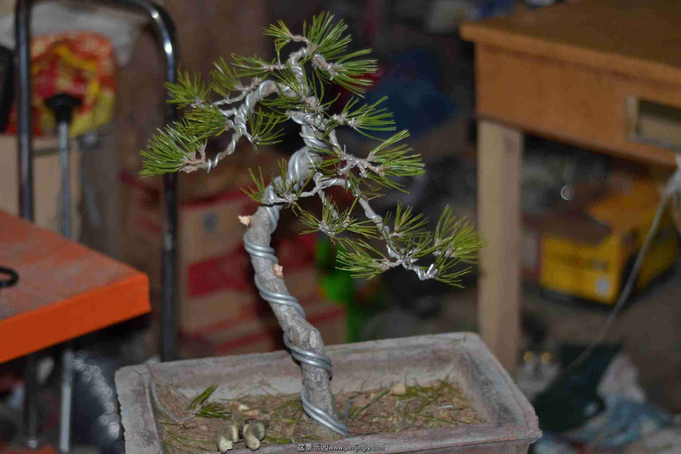 2014-01-17 001.jpg