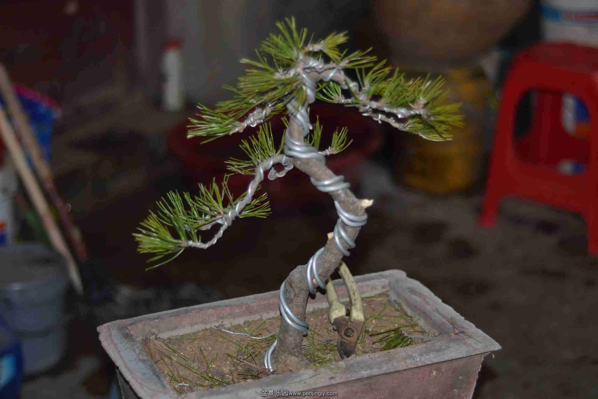 2014-01-17 004.jpg