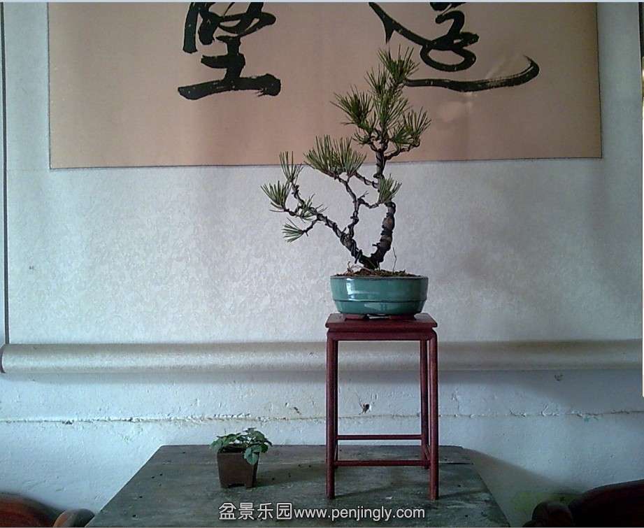 QQͼƬ20140118123302.jpg