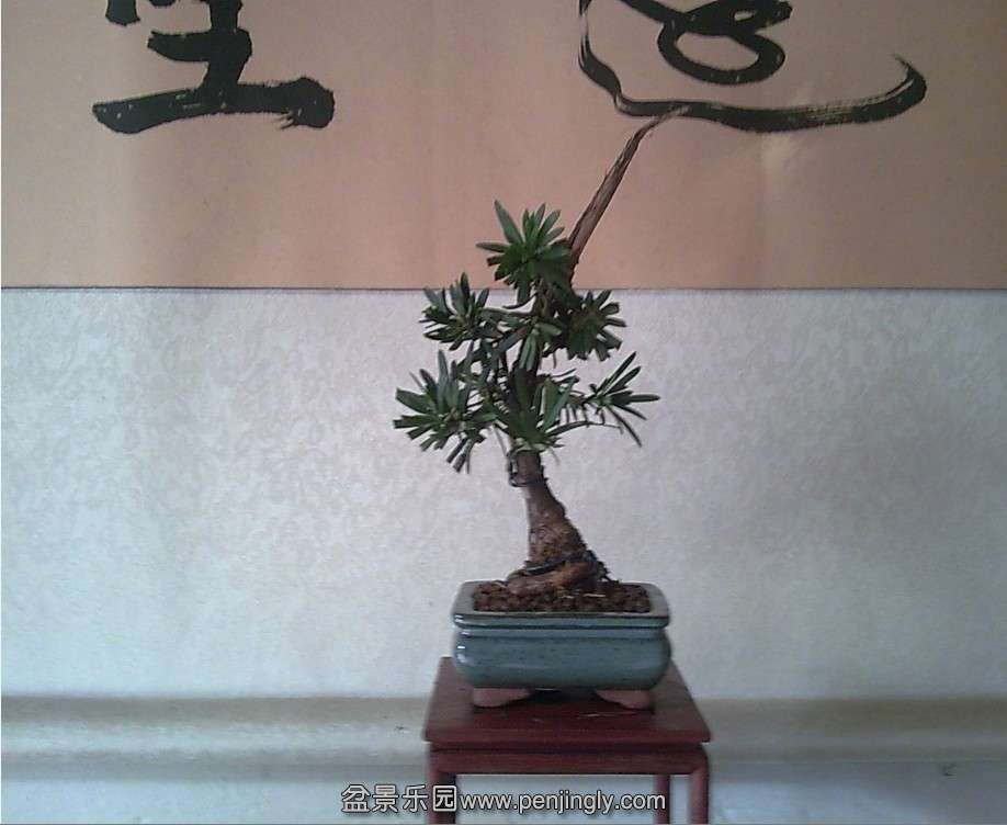 QQͼƬ20140118123346.jpg