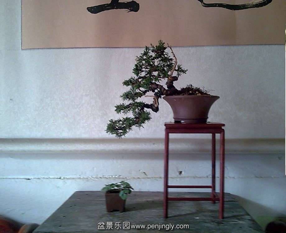 QQͼƬ20140118123424.jpg