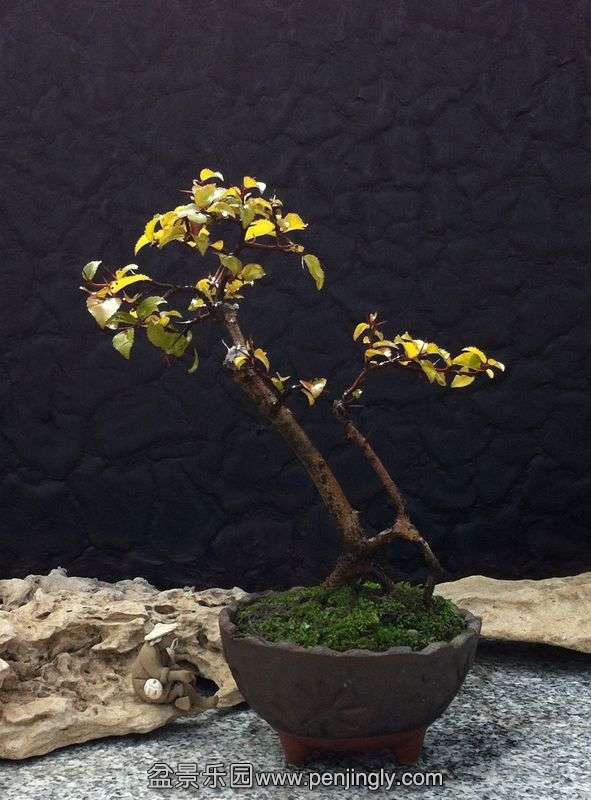 Ƭ 099.jpg