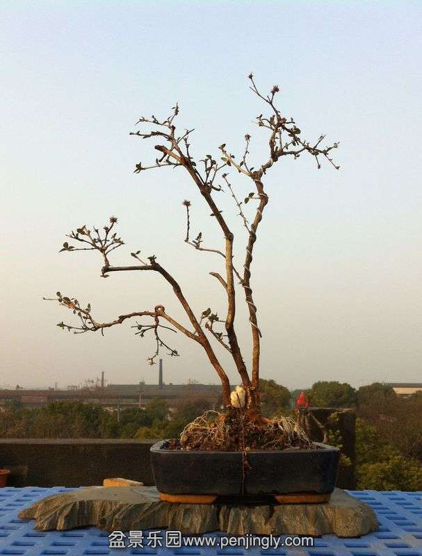 Ƭ 127.jpg