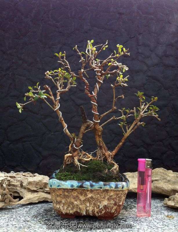 Ƭ 112.jpg