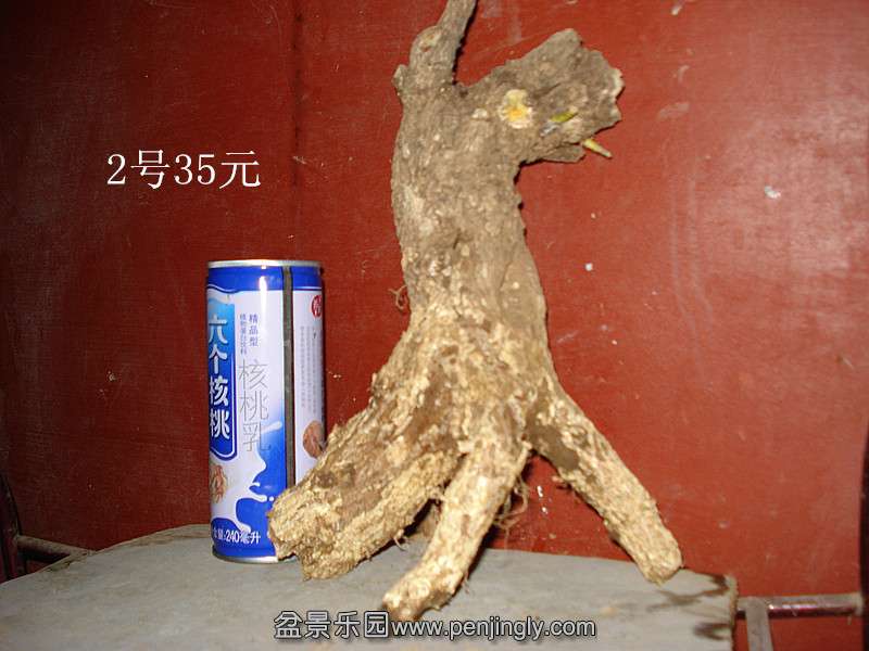 DSC07042_.jpg