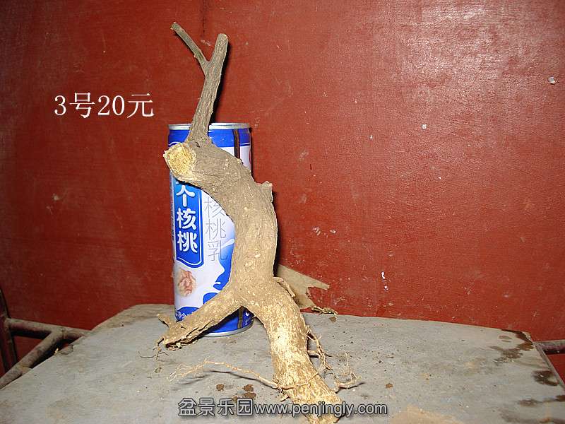 DSC07044_.jpg