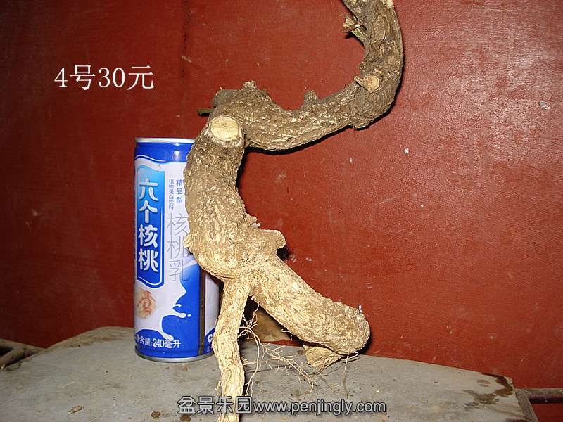 DSC07046_.jpg