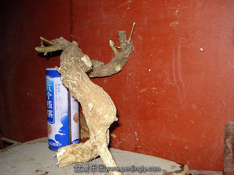 DSC07047_.jpg