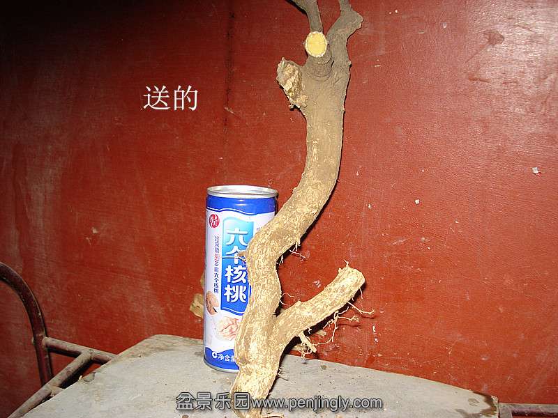 DSC07050_.jpg