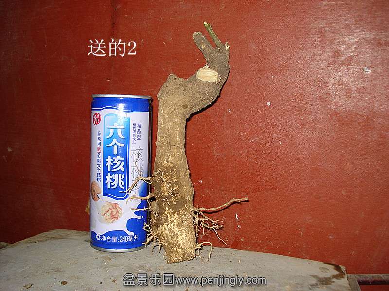 DSC07051_.jpg