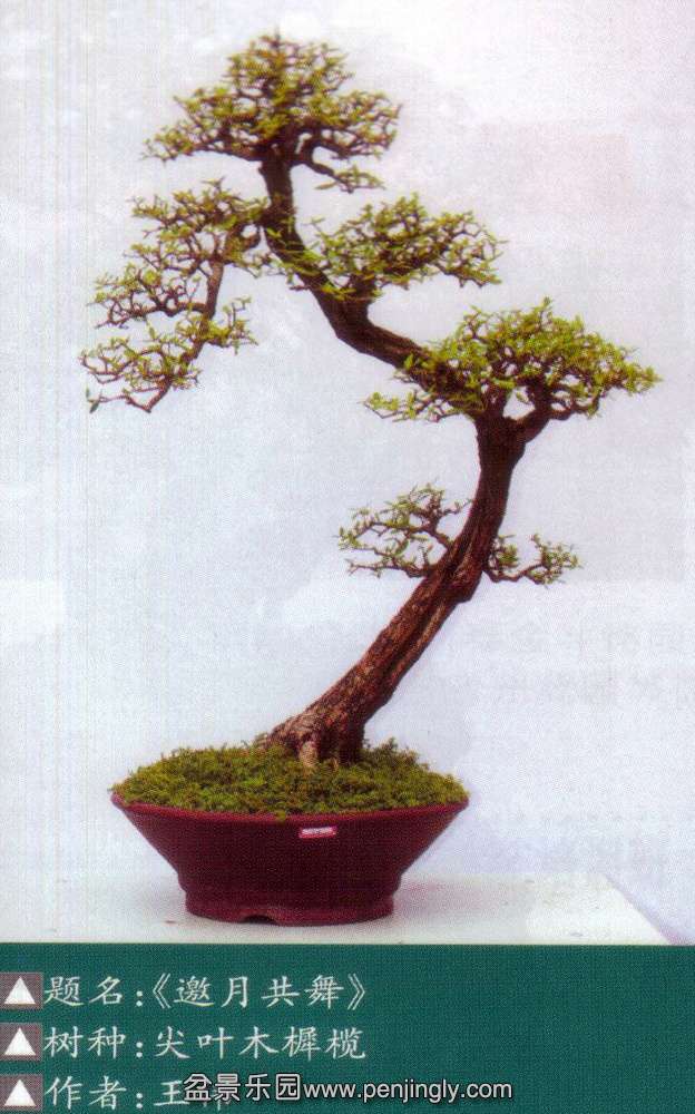 Ϻչ-ΰ-Ҷľܯ.jpg