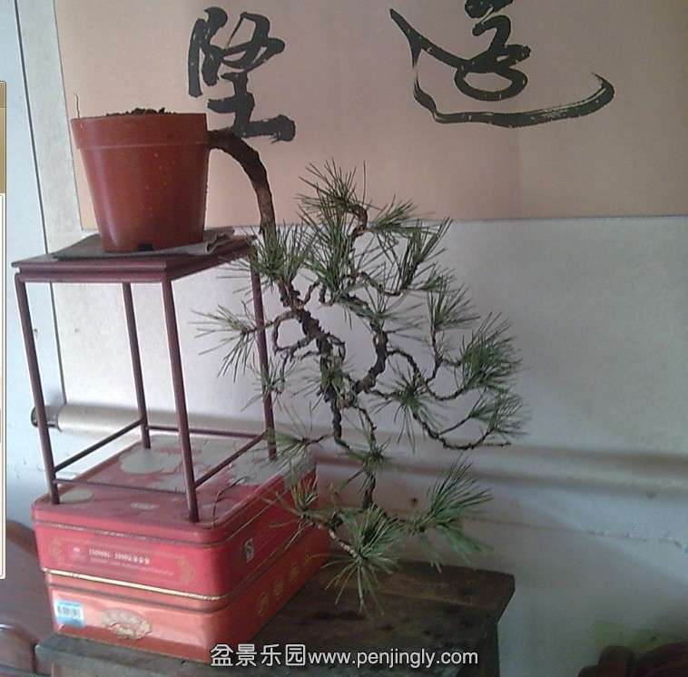 QQͼƬ20140119132936.jpg