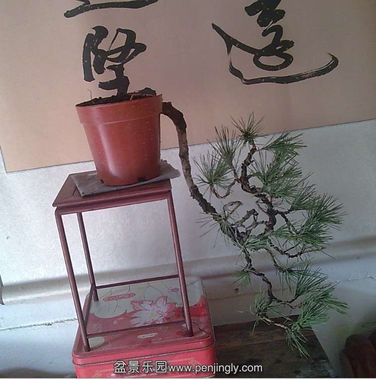 QQͼƬ20140119132941.jpg