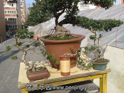 2014-01-19 13.23.32_1.jpg