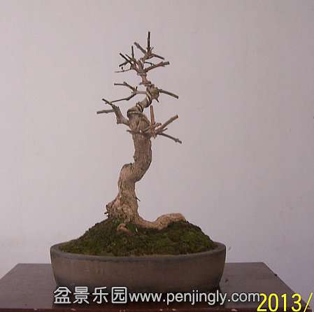 101_0450_.JPG