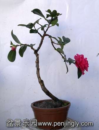 201401211970.jpg
