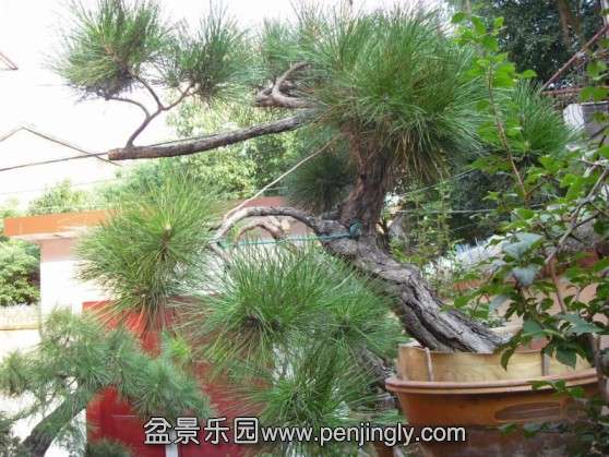 SDC13548.JPG