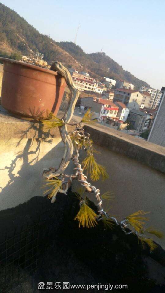 QQͼƬ20140122194806.jpg