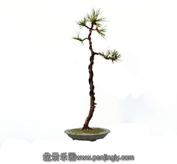 225445jc379bcoun379oza_jpg_thumb_conew2.jpg
