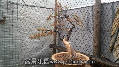 20140107_133640.jpg
