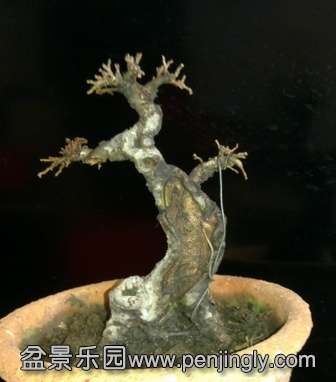 201401241978.jpg