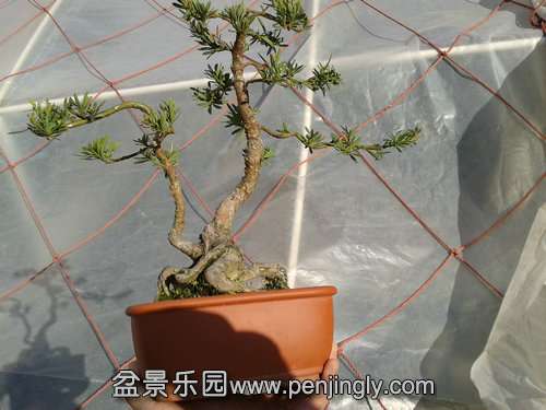 2014-01-24 14.27.28.jpg