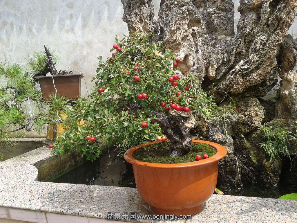 20130914_120546.jpg