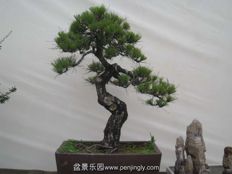 Ƭ 051.jpg