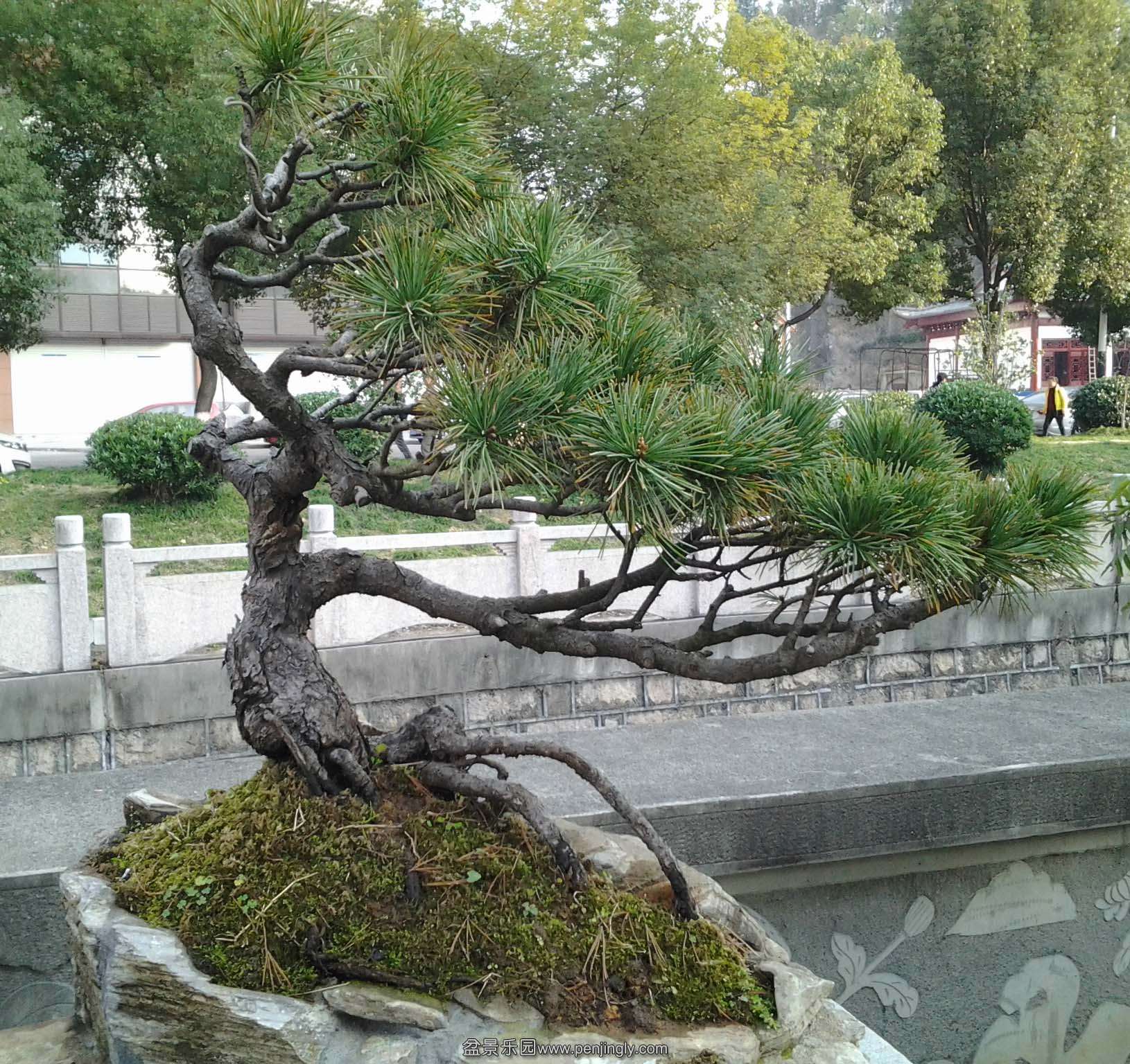 2013-12-23 15.11.05.jpg