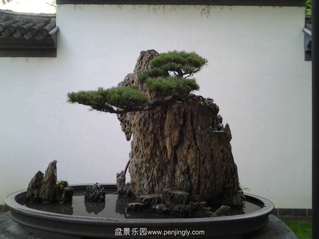 2013-12-23 15.04.28.jpg