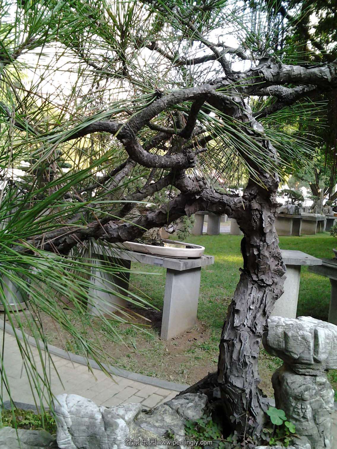 2013-12-23 15.05.18.jpg