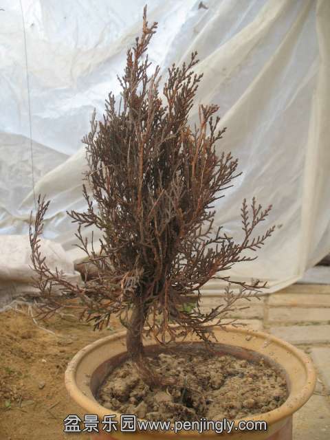 2014.01.21 020.jpg