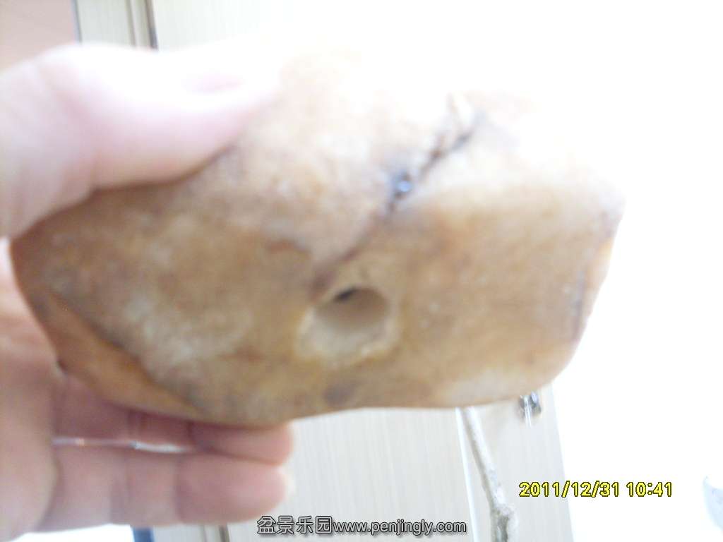 SDC11448.JPG