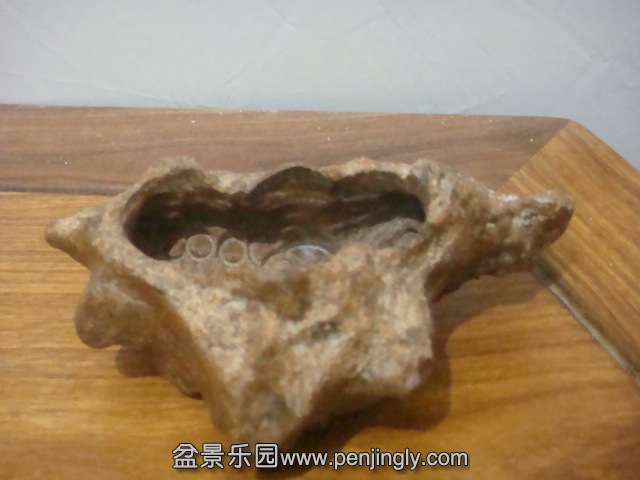 DSC04329.JPG