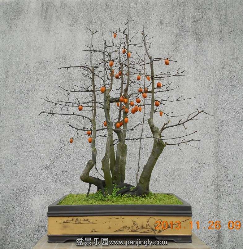 131.ѻ׮ޱ[96].jpg