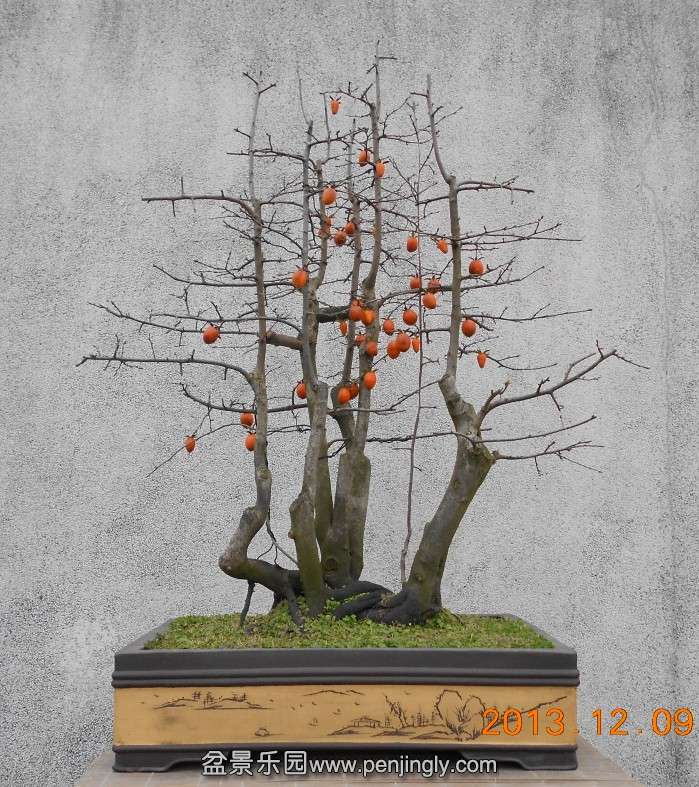 131.ѻ׮ޱ[97].jpg
