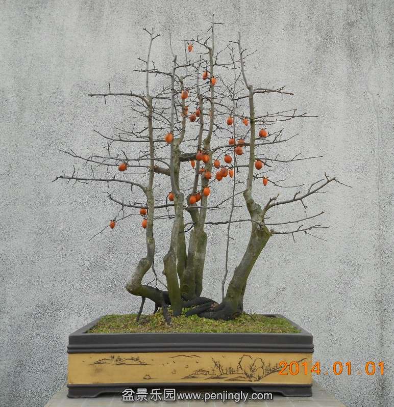 131.ѻ׮ޱ[98].jpg