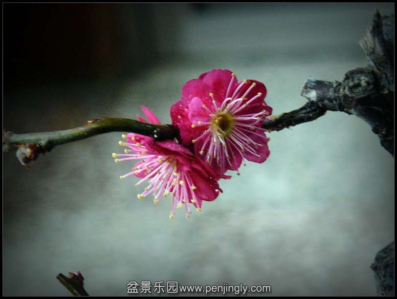P1070731.JPG